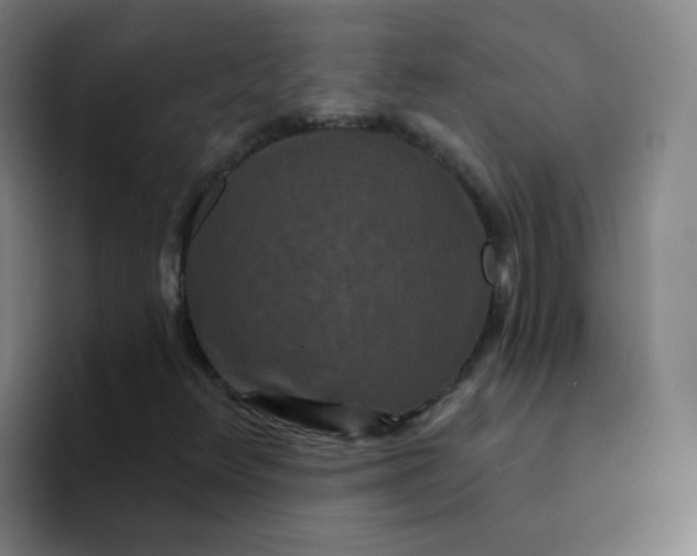 X0000094231348200711161901