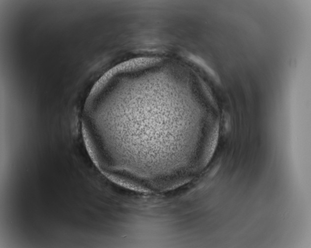 X0000094231350200711161901