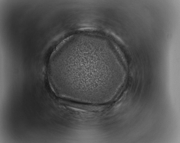 X0000094231351200711161901