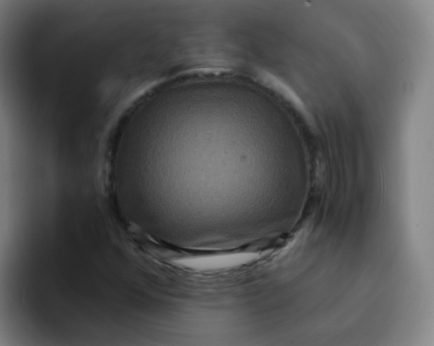 X0000094231352200711161901