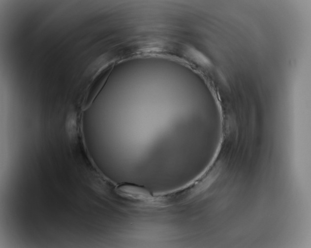 X0000094231353200711161901