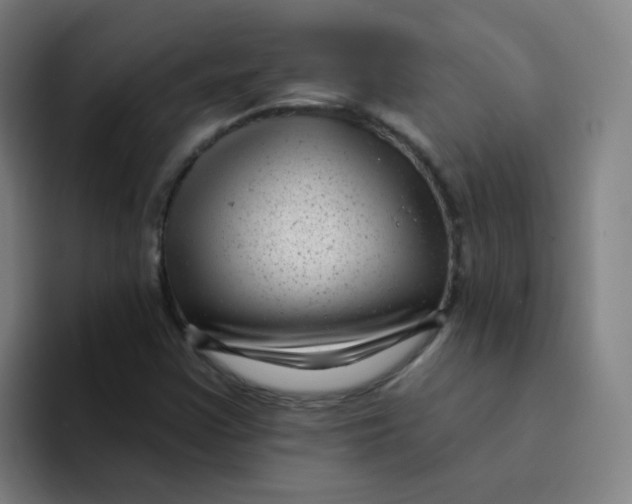 X0000094231355200711161901