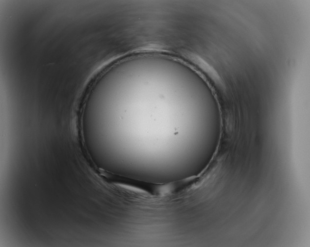 X0000094231356200711161901