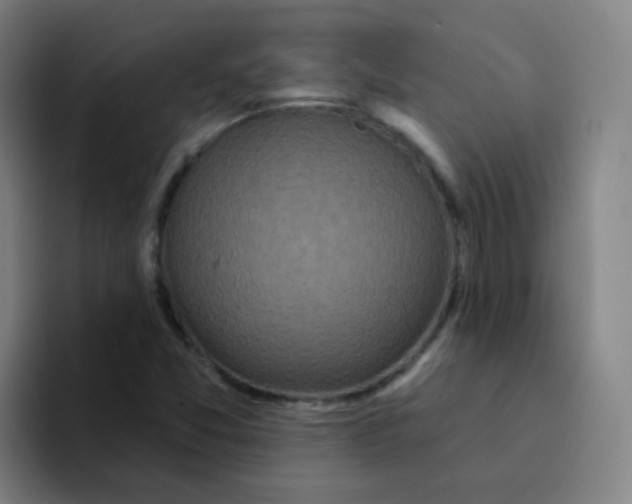 X0000094231357200711161901