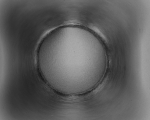 X0000094231358200711161901