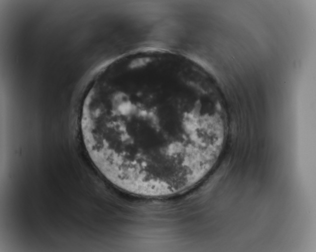 X0000094231359200711161901