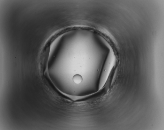 X0000094231360200711161901