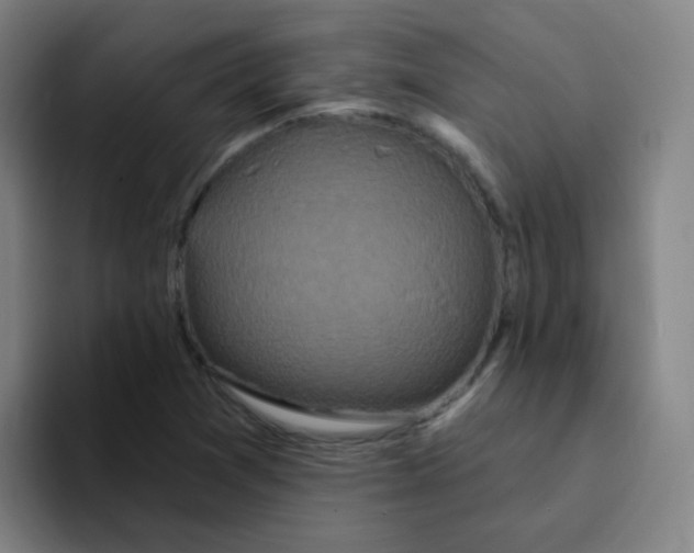 X0000094231361200711161901