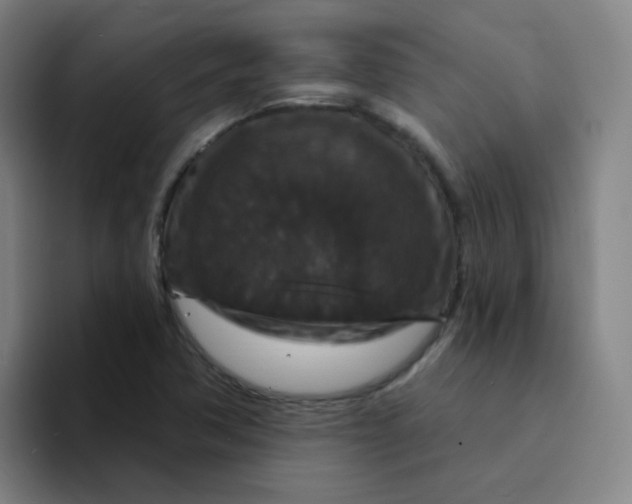 X0000094231362200711161901