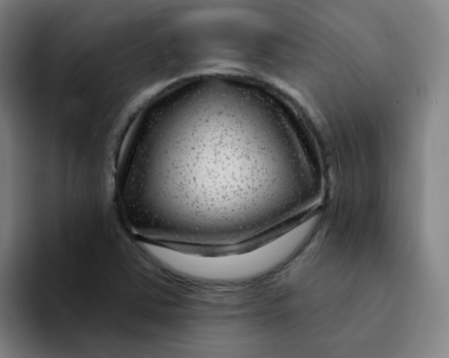 X0000094231363200711161901