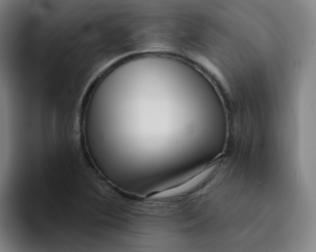 X0000094231364200711161901