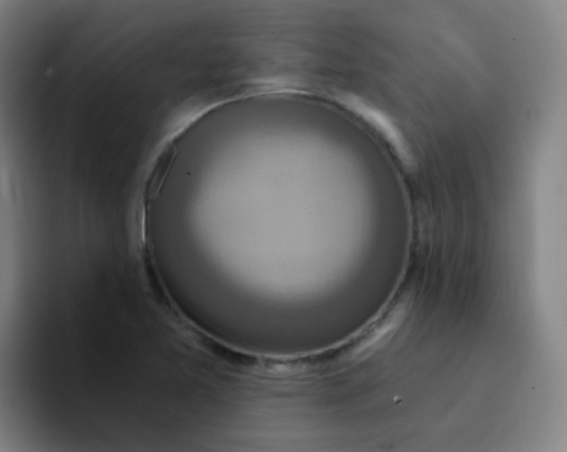 X0000094231365200711161901