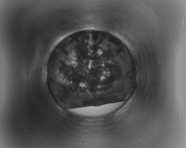 X0000094231367200711161901