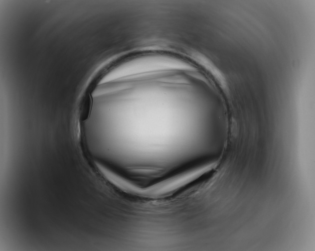 X0000094231368200711161901