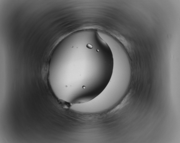 X0000094231369200711161901