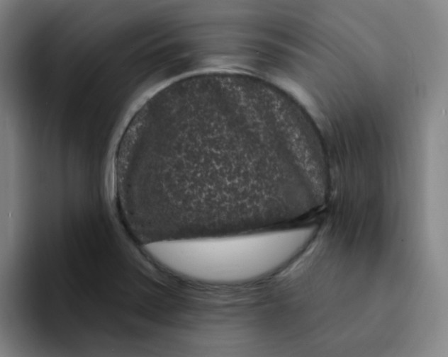 X0000094231371200711161901