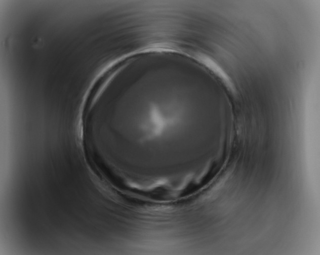 X0000094231372200711161901