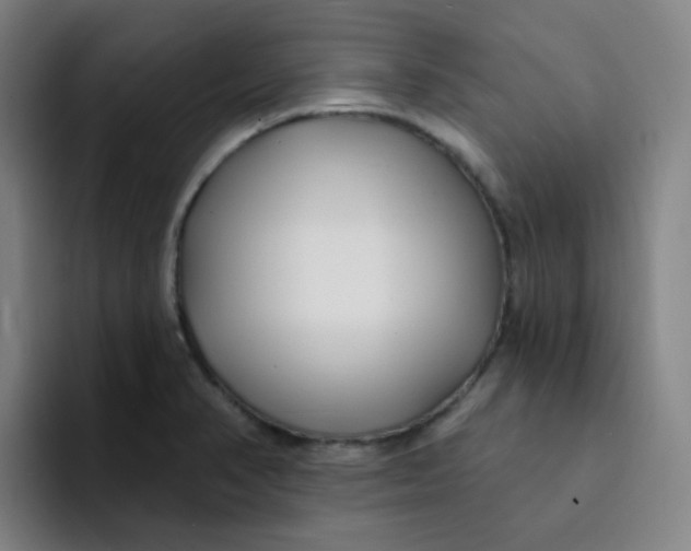 X0000094231374200711161901