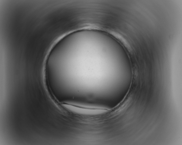 X0000094231375200711161901