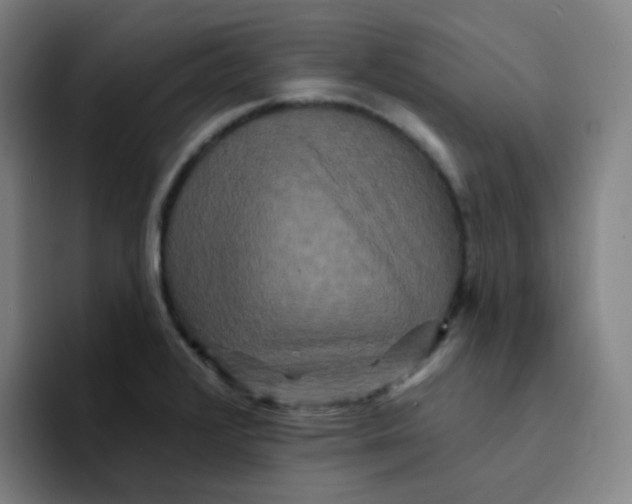 X0000094231376200711161901