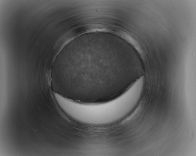 X0000094231377200711161901