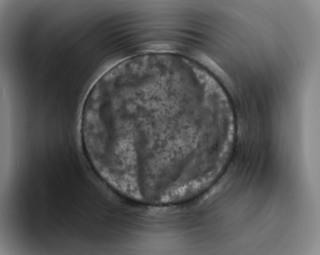 X0000094231378200711161901