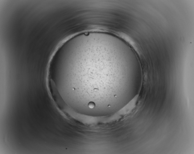 X0000094231379200711161901