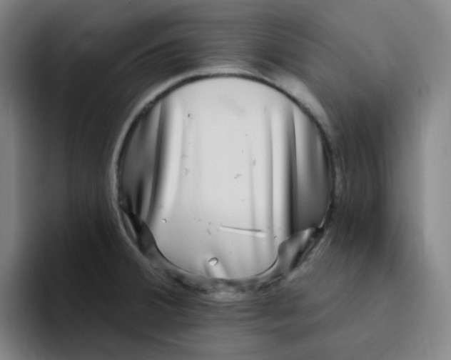 X0000094231380200711161900