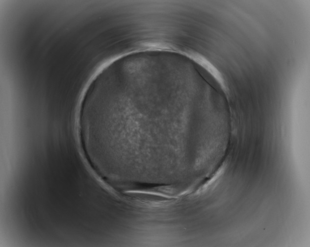 X0000094231381200711161900