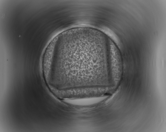 X0000094231382200711161900