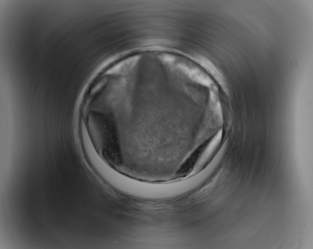 X0000094231384200711161900