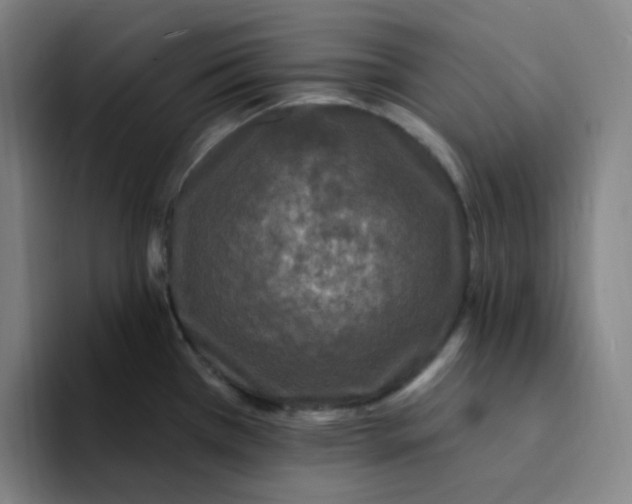 X0000094231385200711161900