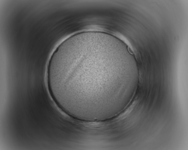 X0000094231387200711161900