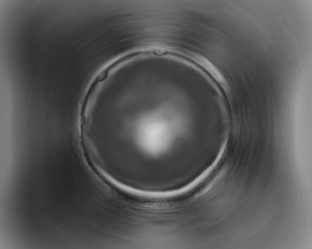 X0000094231388200711161900