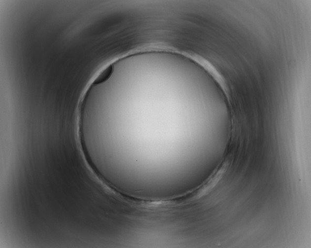 X0000094231390200711161900