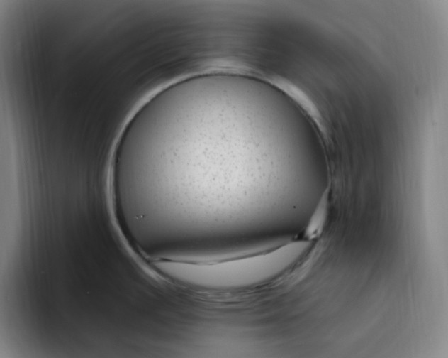 X0000094231391200711161900