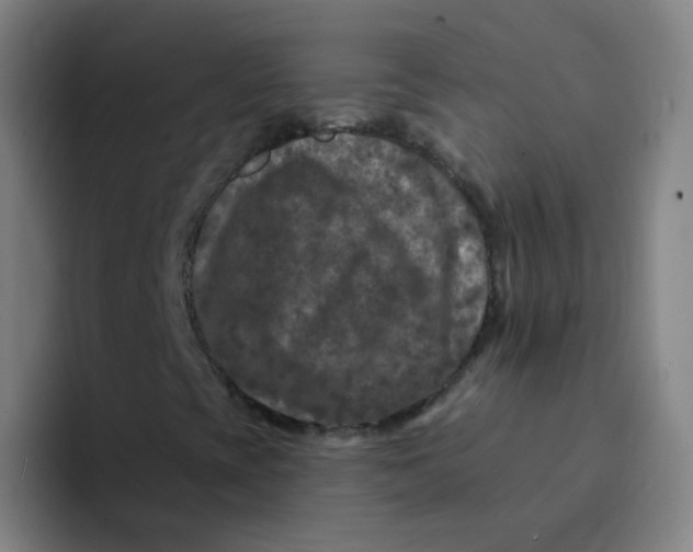 X0000094231393200711161900