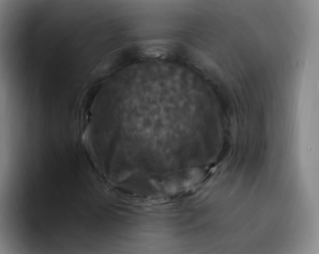 X0000094231394200711161900