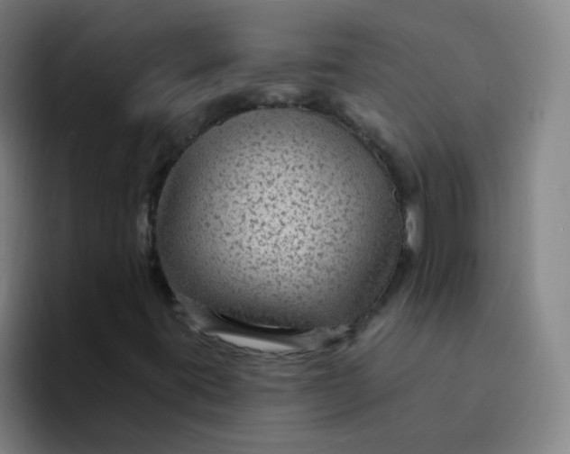 X0000094231395200711161900