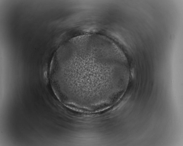 X0000094231396200711161900