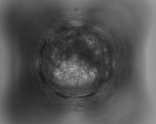 X0000094231397200711161900