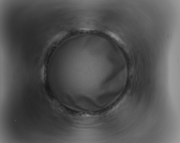 X0000094231398200711161900