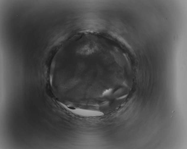 X0000094231399200711161900