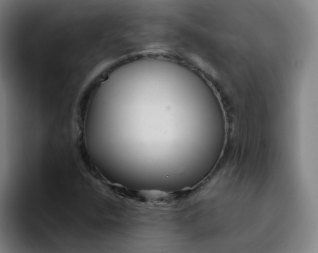 X0000094231400200711161900