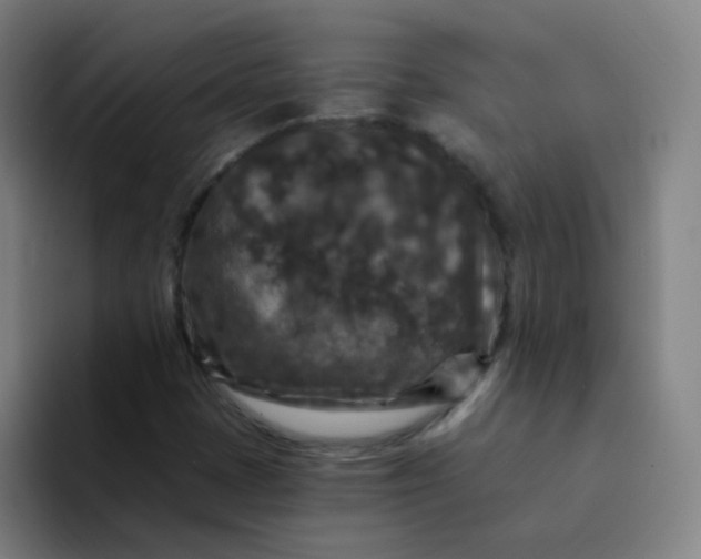 X0000094231401200711161900