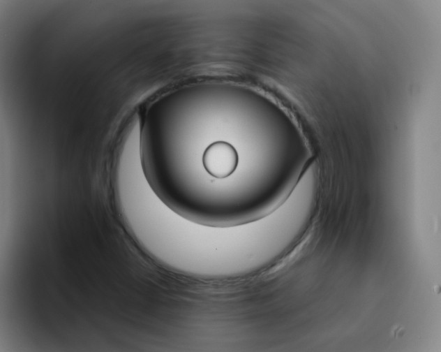 X0000094231402200711161900