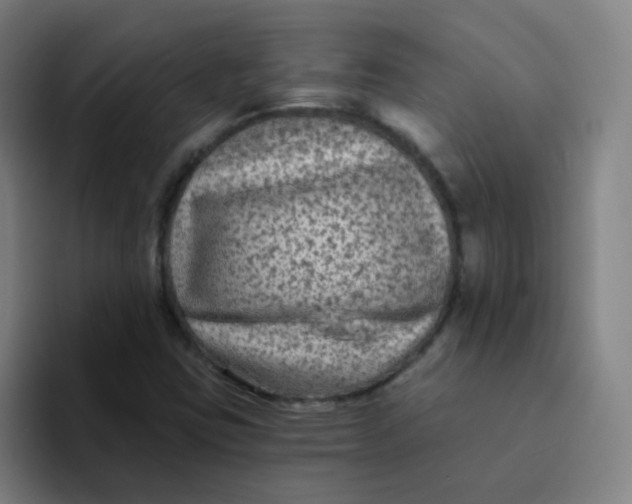 X0000094231403200711161900