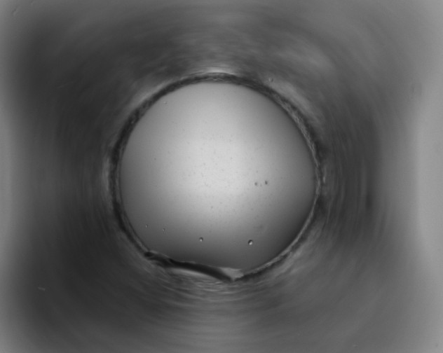 X0000094231404200711161900