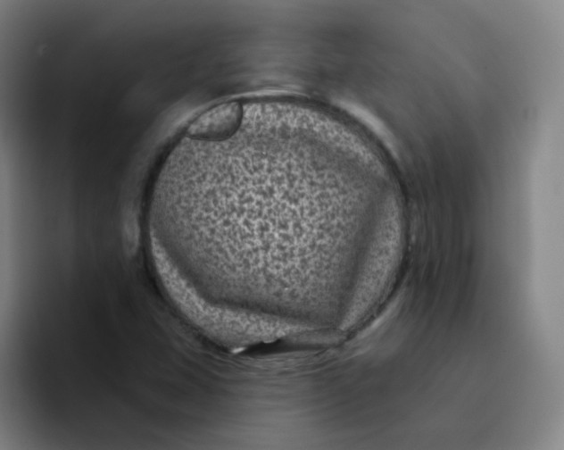 X0000094231407200711161900