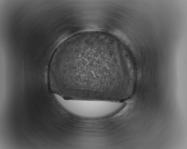 X0000094231409200711161900